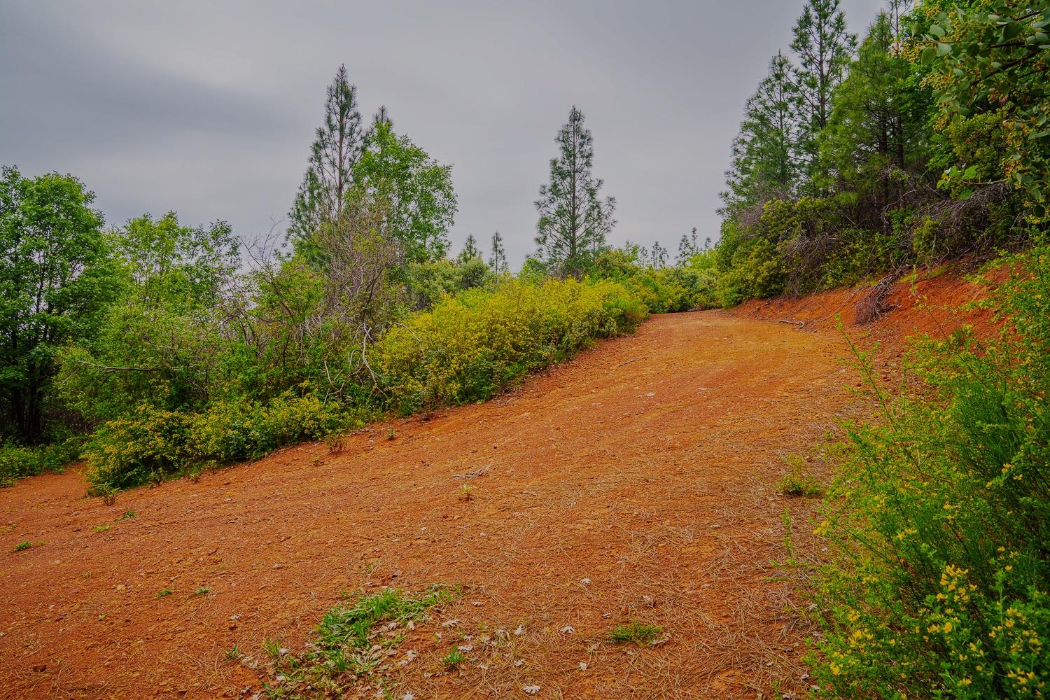 16397 Indiana Ranch Road Dobbins, CA 95935 - Photo 18 of 76