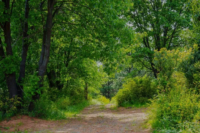 a bathroom with a window