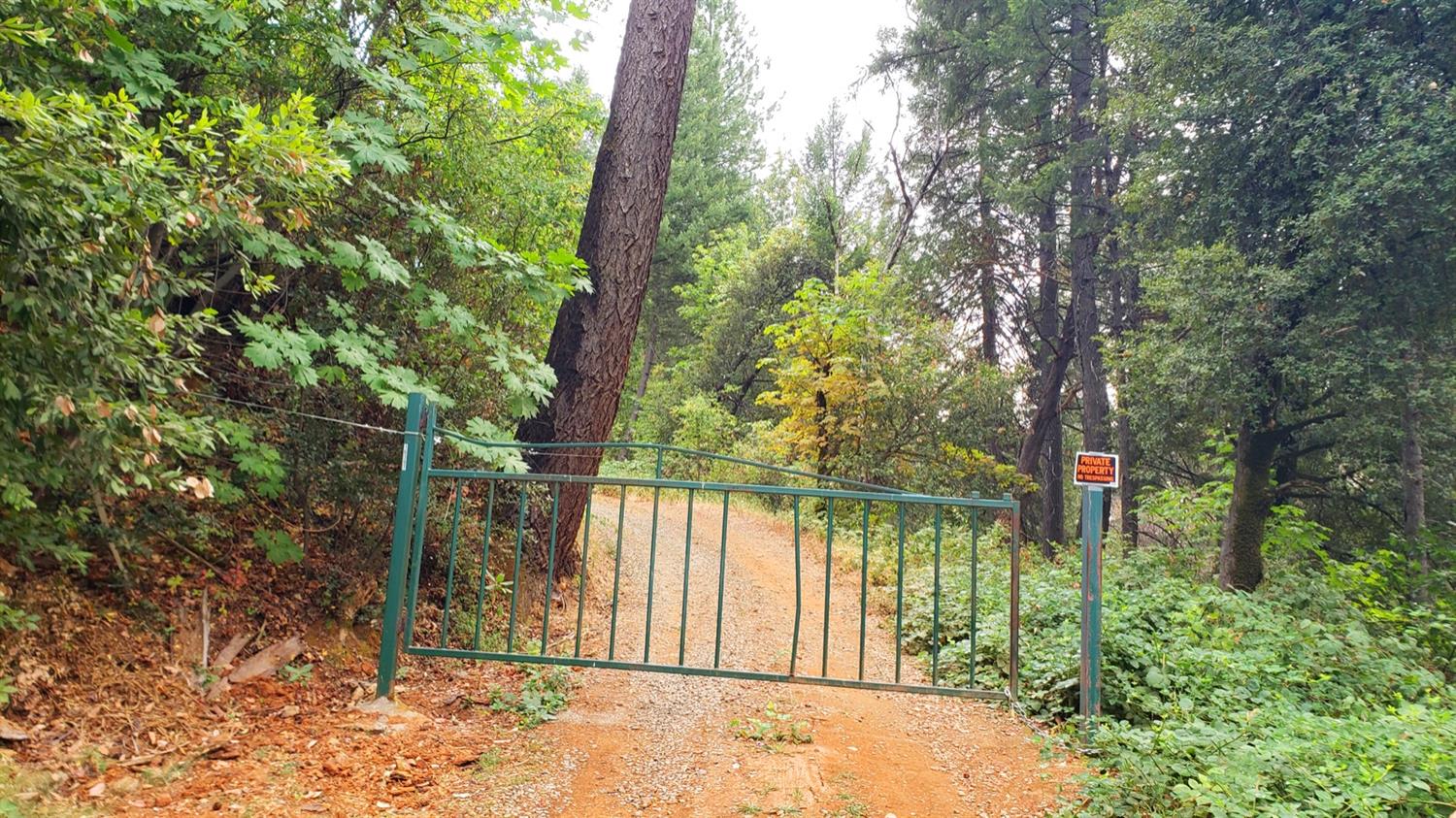 16397 Indiana Ranch Road Dobbins, CA 95935 - Photo 2 of 76 a view of a park with large trees