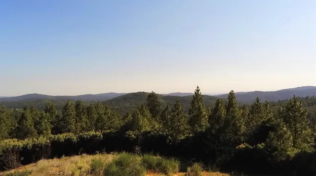 a view of a lake from a yard