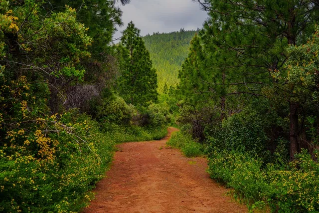 a view of a town with mountains in the background