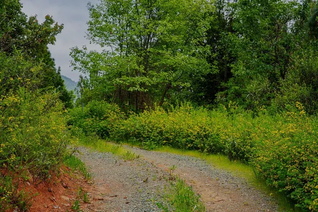 a view of an outdoor space with a lake view