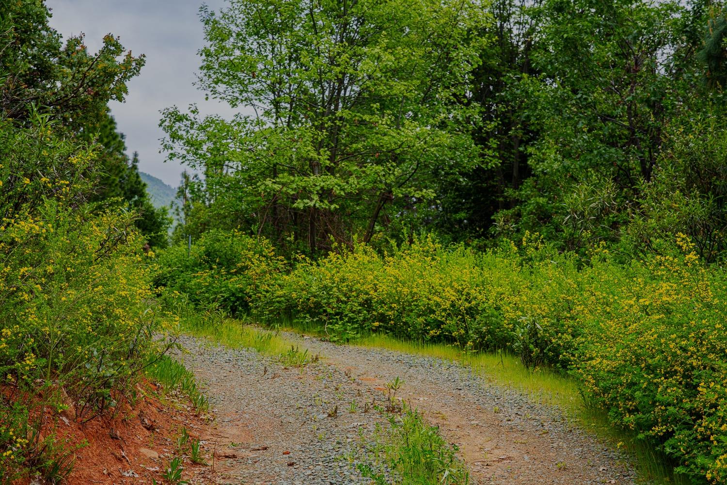 16397 Indiana Ranch Road Dobbins, CA 95935 - Photo 33 of 76 a view of a lake view with a garden
