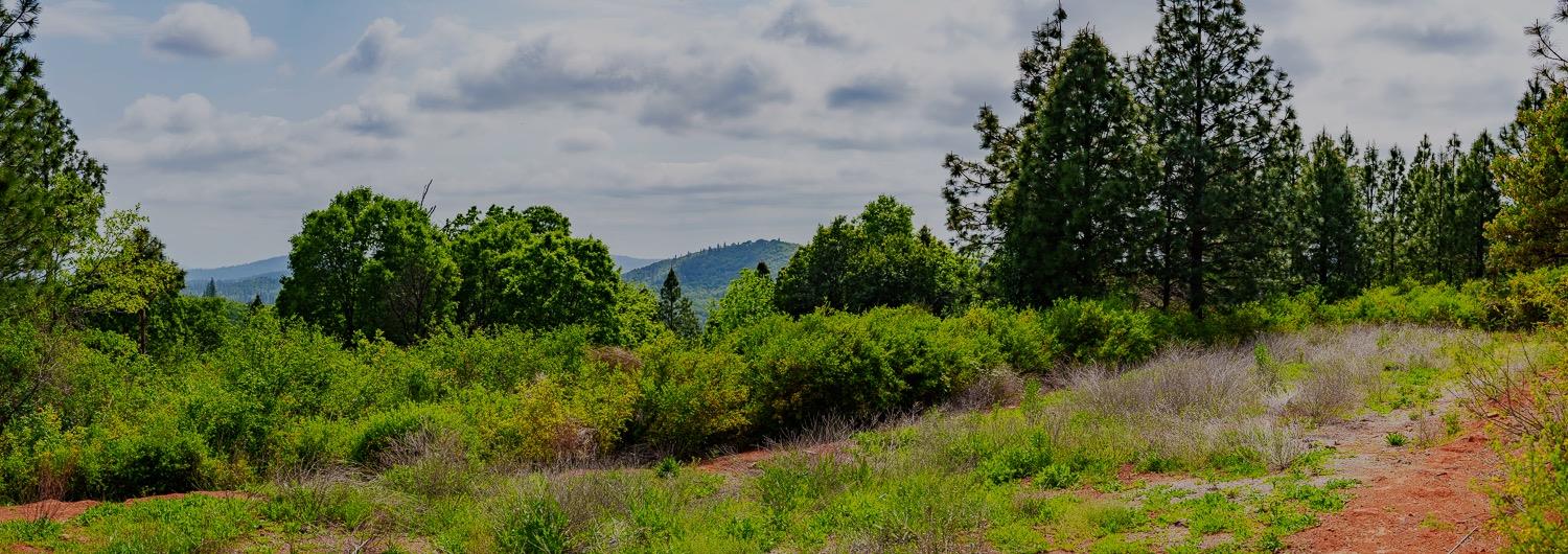 16397 Indiana Ranch Road Dobbins, CA 95935 - Photo 35 of 76