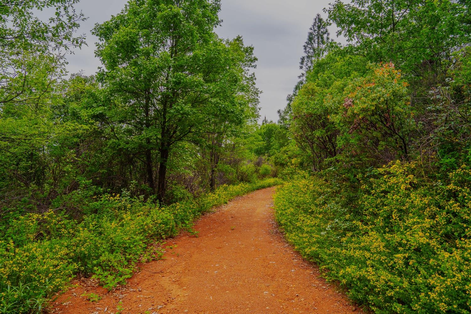 16397 Indiana Ranch Road Dobbins, CA 95935 - Photo 36 of 76 a view of a pathway both side of yard