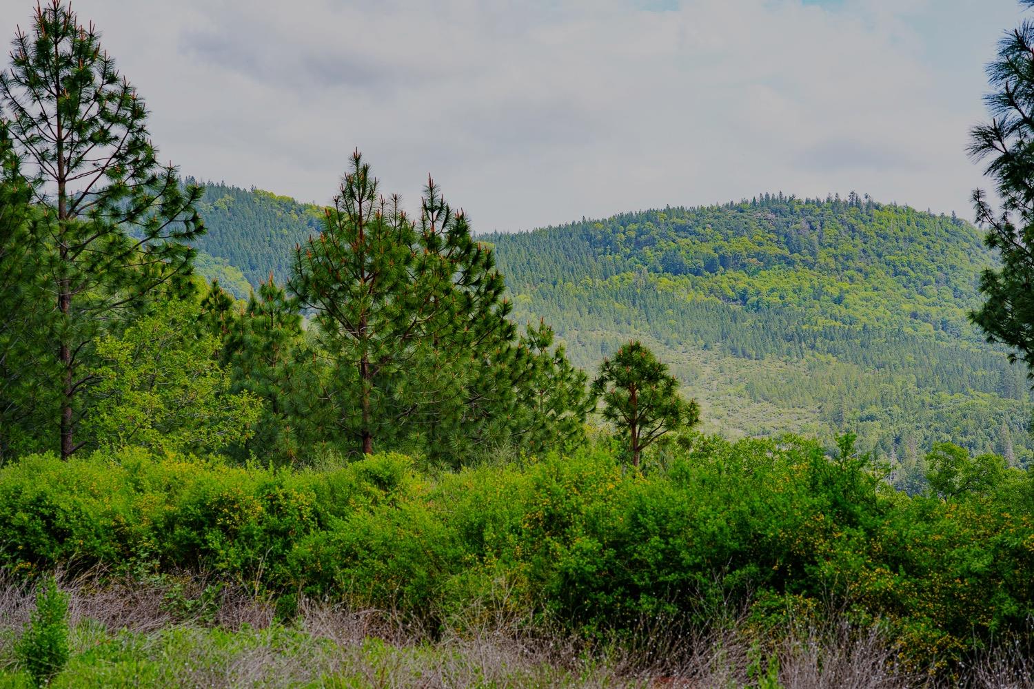 16397 Indiana Ranch Road Dobbins, CA 95935 - Photo 40 of 76