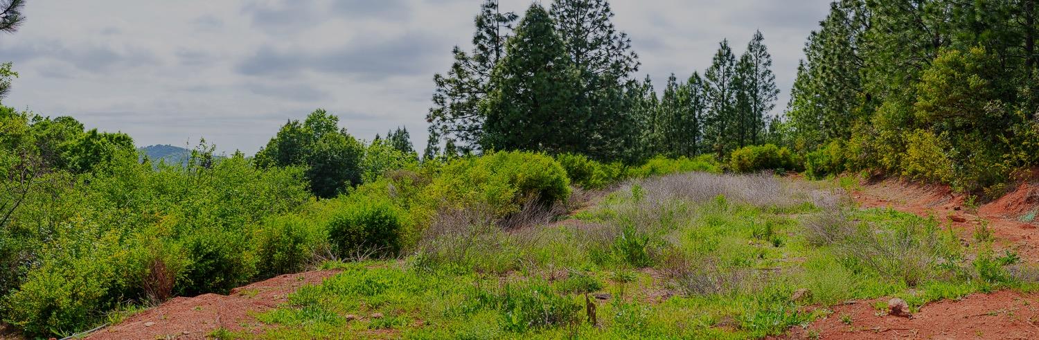 16397 Indiana Ranch Road Dobbins, CA 95935 - Photo 43 of 76