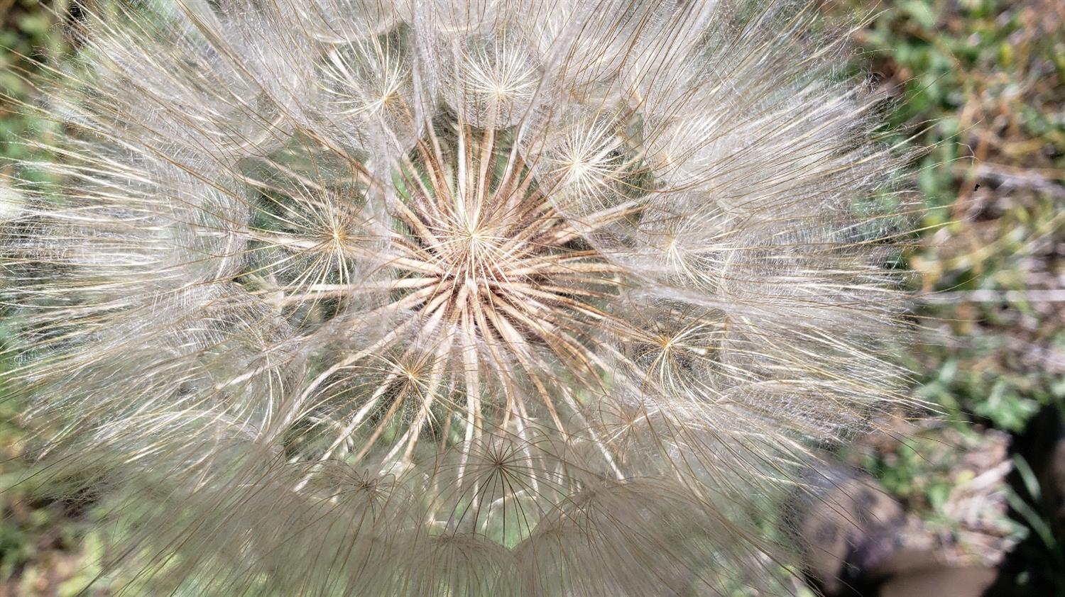 16397 Indiana Ranch Road Dobbins, CA 95935 - Photo 47 of 76