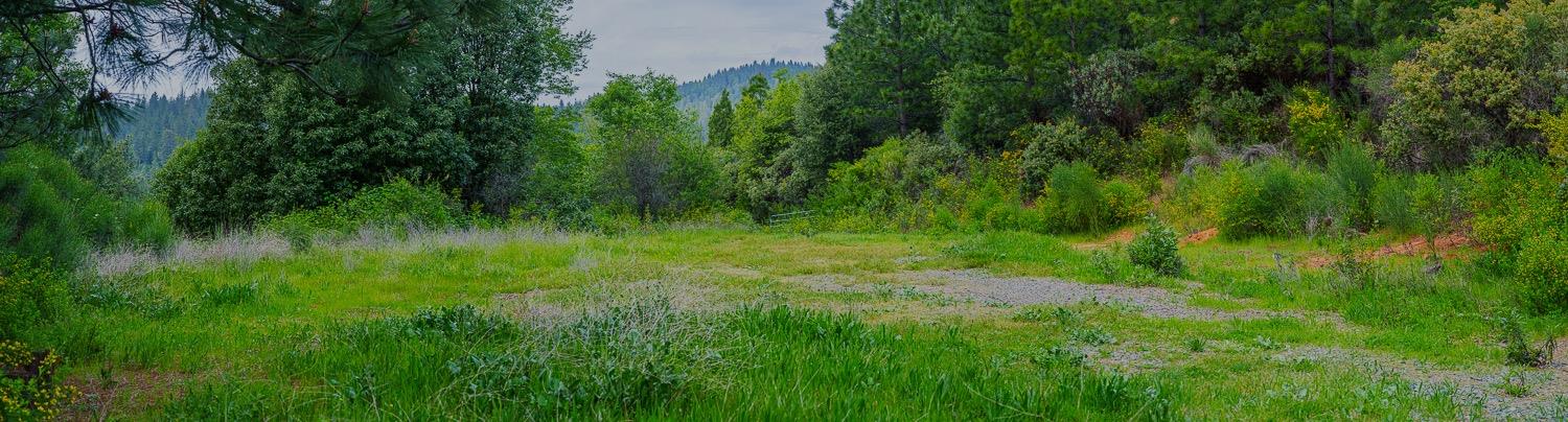 16397 Indiana Ranch Road Dobbins, CA 95935 - Photo 5 of 76 a view of a lush green space