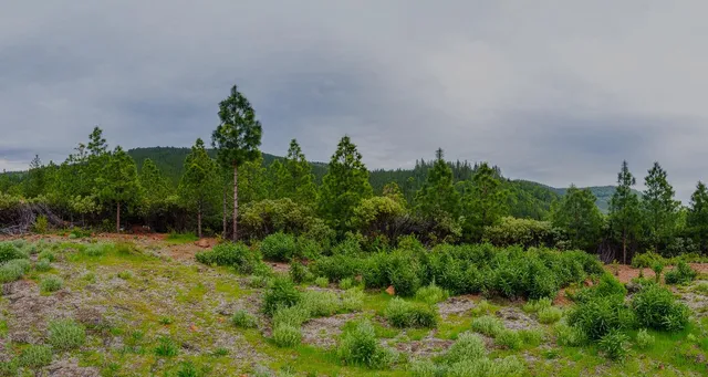 $390,000 | 16397 Indiana Ranch Road, Dobbins, CA 95935