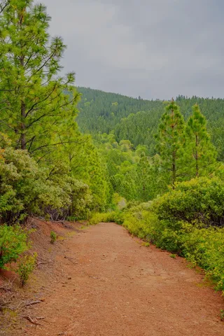 $390,000 | 16397 Indiana Ranch Road, Dobbins, CA 95935