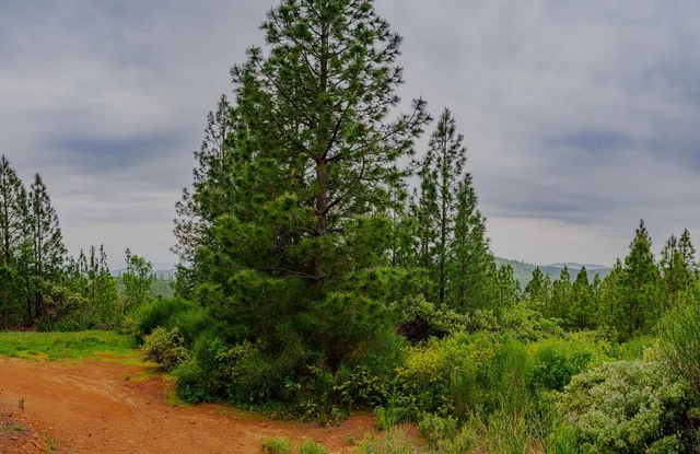 $390,000 | 16397 Indiana Ranch Road, Dobbins, CA 95935