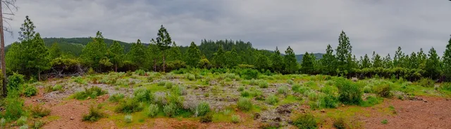 $390,000 | 16397 Indiana Ranch Road, Dobbins, CA 95935