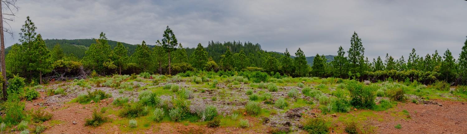 16397 Indiana Ranch Road Dobbins, CA 95935 - Photo 62 of 76