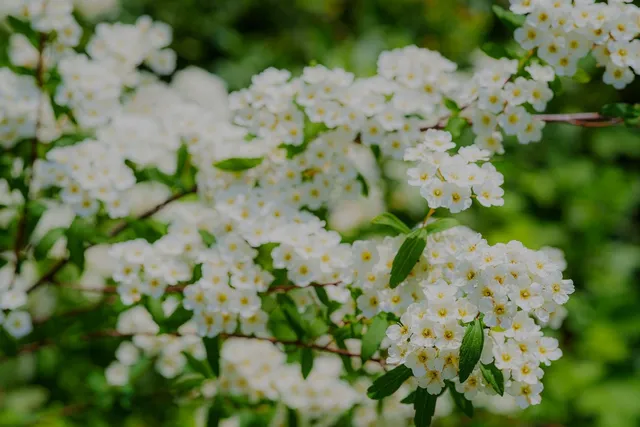 $390,000 | 16397 Indiana Ranch Road, Dobbins, CA 95935