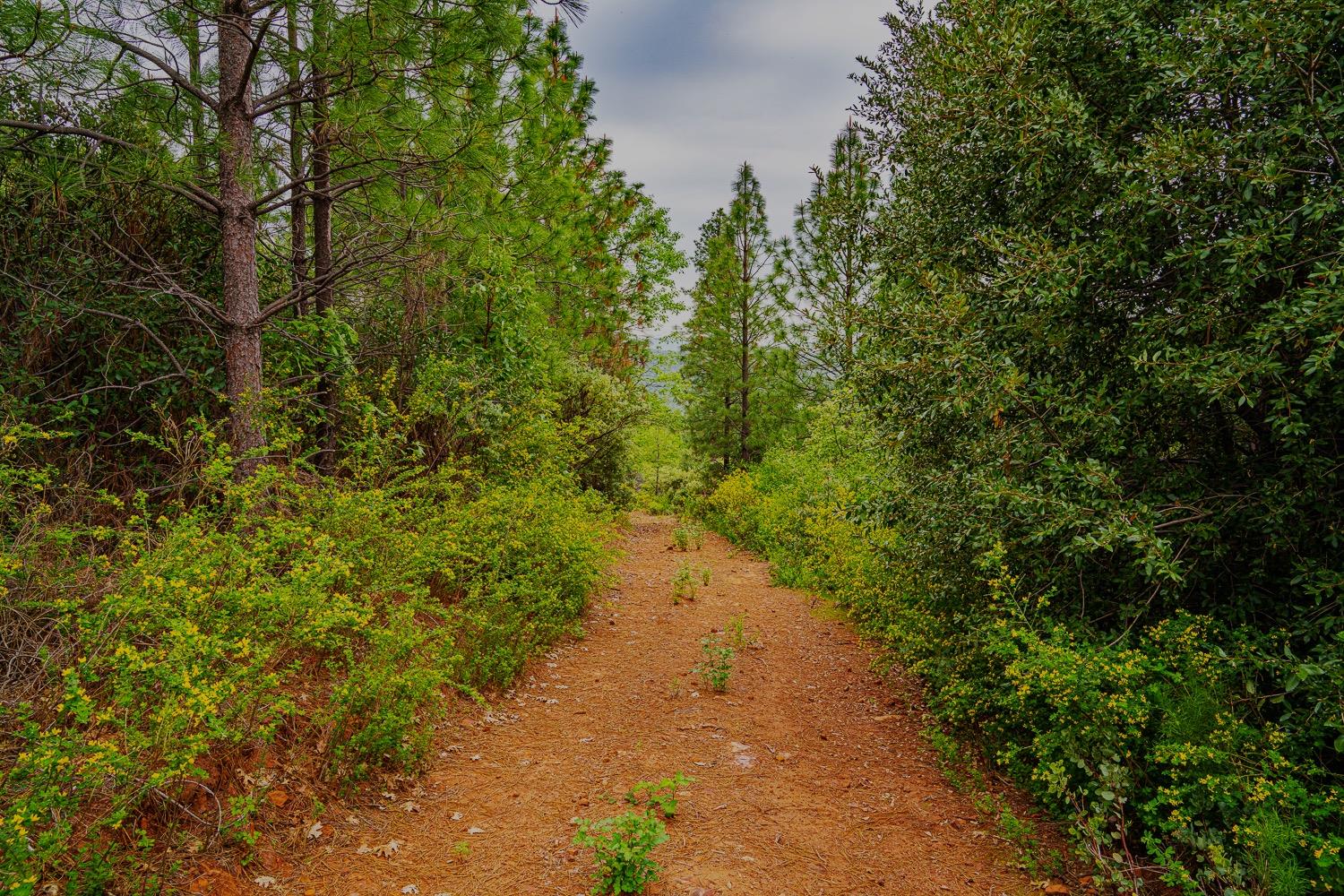 16397 Indiana Ranch Road Dobbins, CA 95935 - Photo 64 of 76