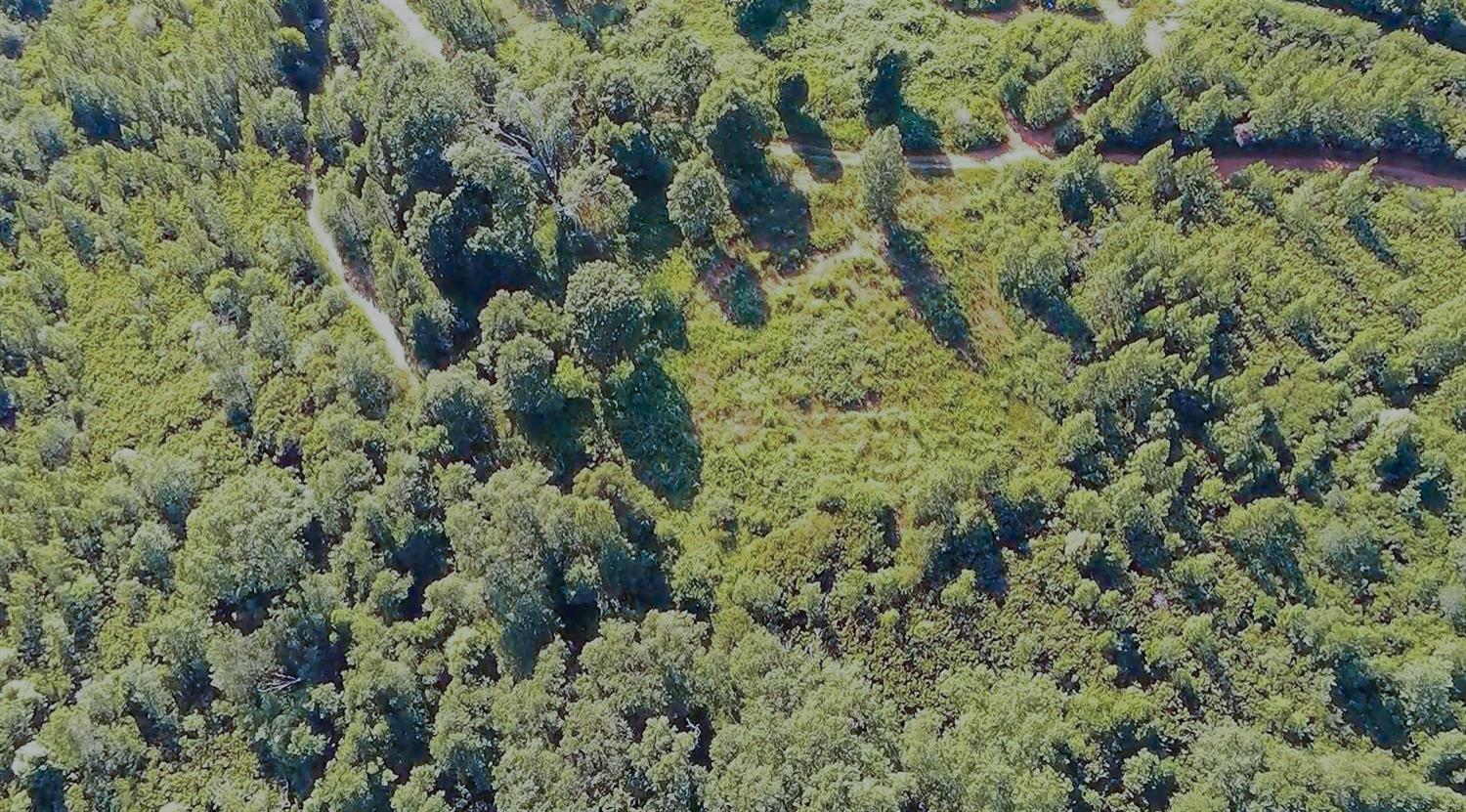 16397 Indiana Ranch Road Dobbins, CA 95935 - Photo 65 of 76