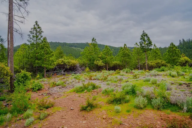 $390,000 | 16397 Indiana Ranch Road, Dobbins, CA 95935