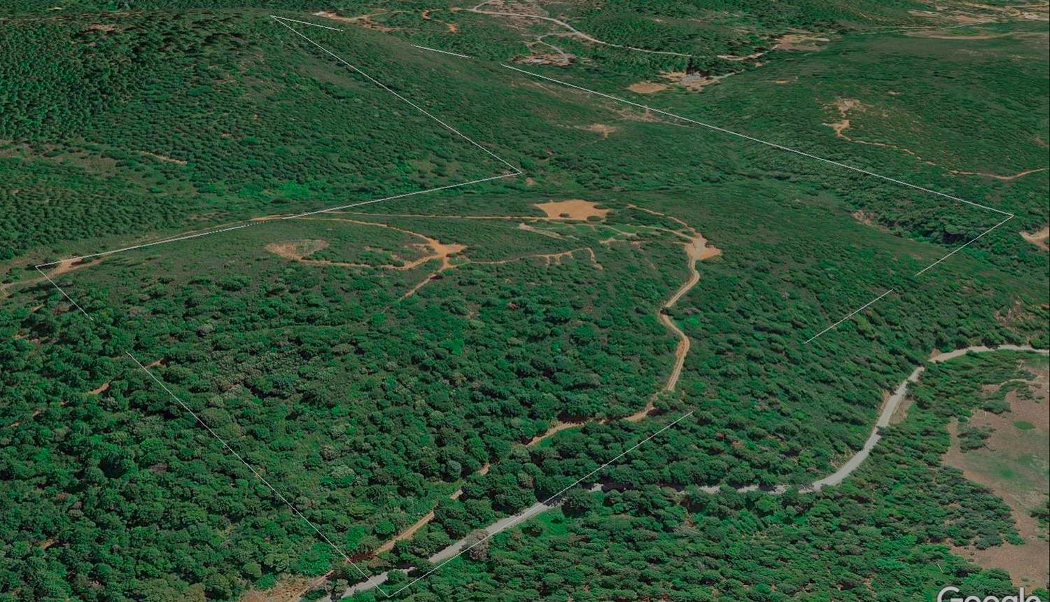 16397 Indiana Ranch Road Dobbins, CA 95935 - Photo 69 of 76 an aerial view of a residential houses with outdoor space and trees