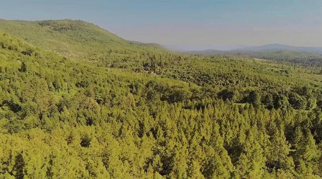 $390,000 | 16397 Indiana Ranch Road, Dobbins, CA 95935