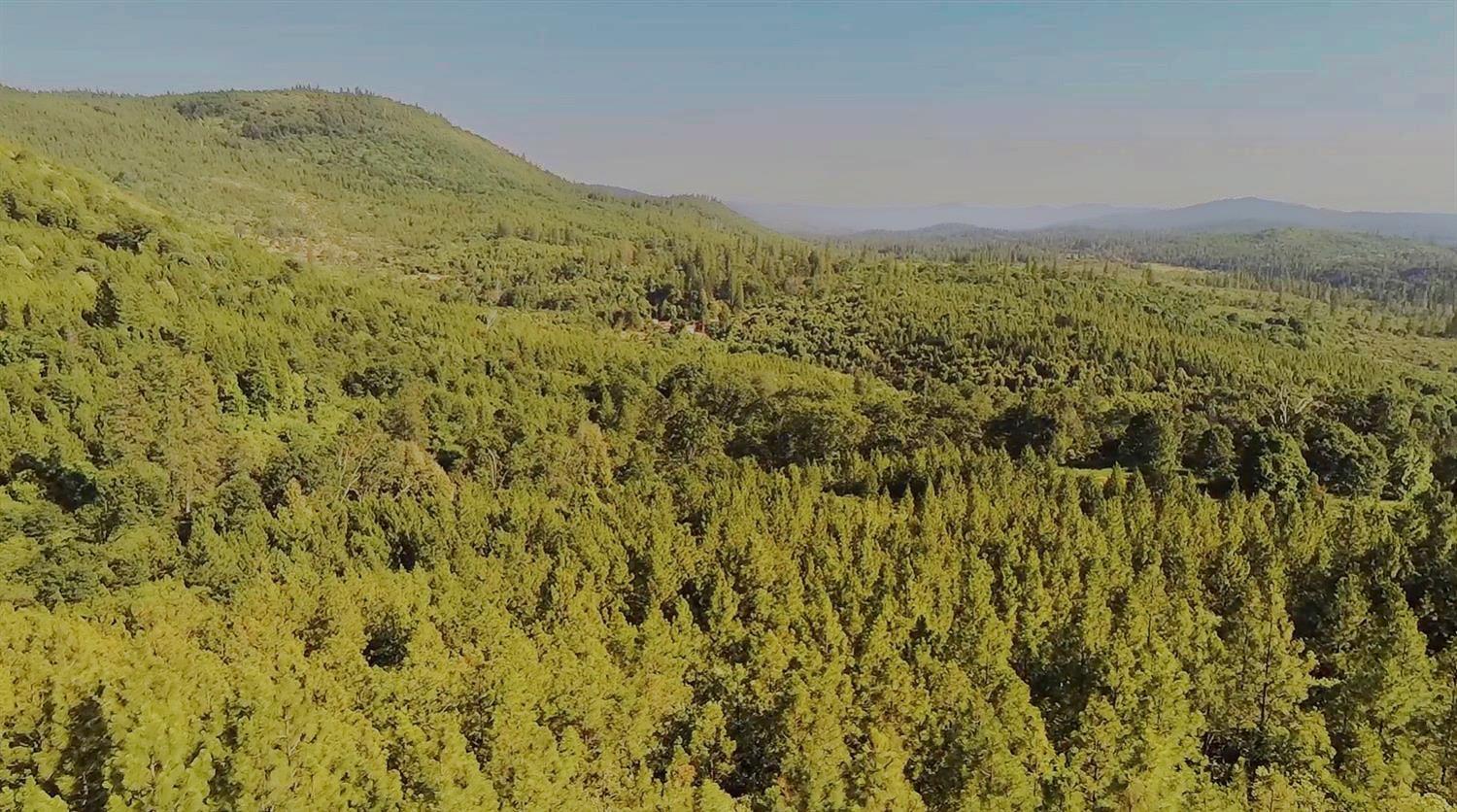 16397 Indiana Ranch Road Dobbins, CA 95935 - Photo 70 of 76 a view of a field with a mountain in the background