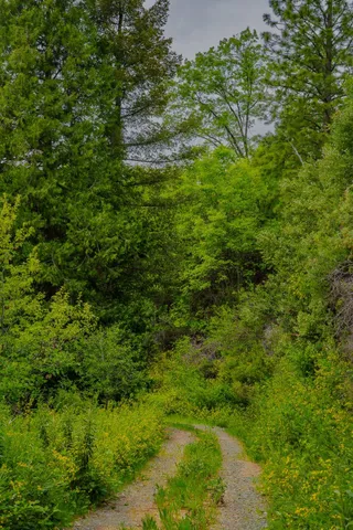 $390,000 | 16397 Indiana Ranch Road, Dobbins, CA 95935