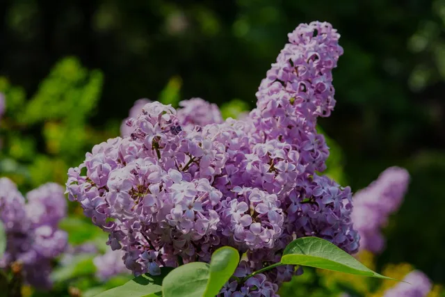 a view of mountain view with mountains