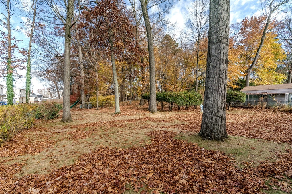 14 Hadley Street Springfield, MA 01118 - Photo 4 of 28 a view of a tree in the middle of a yard