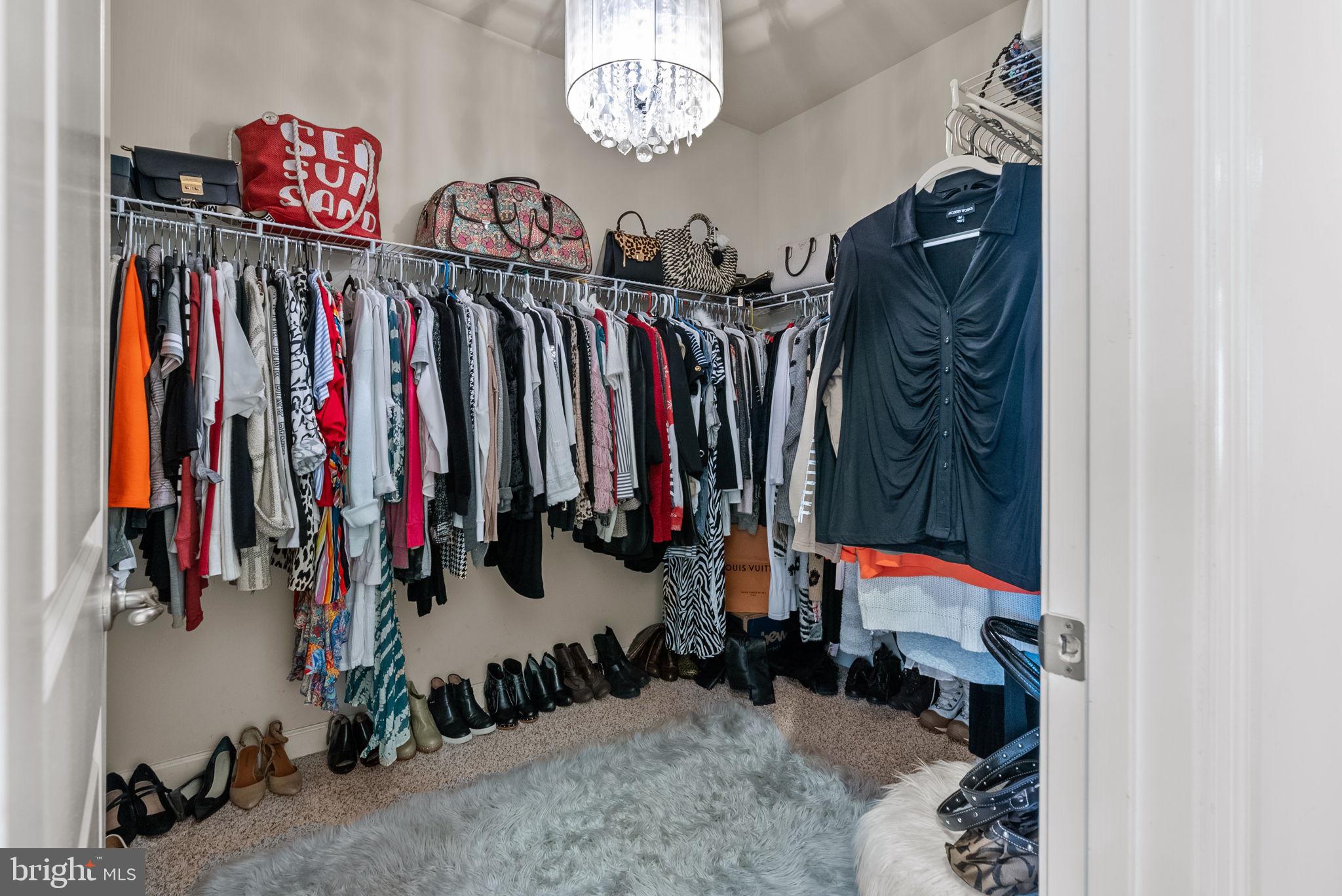 2425 Access Road Warrington, PA 18976 - Photo 34 of 59 1 of 2 walkin closets