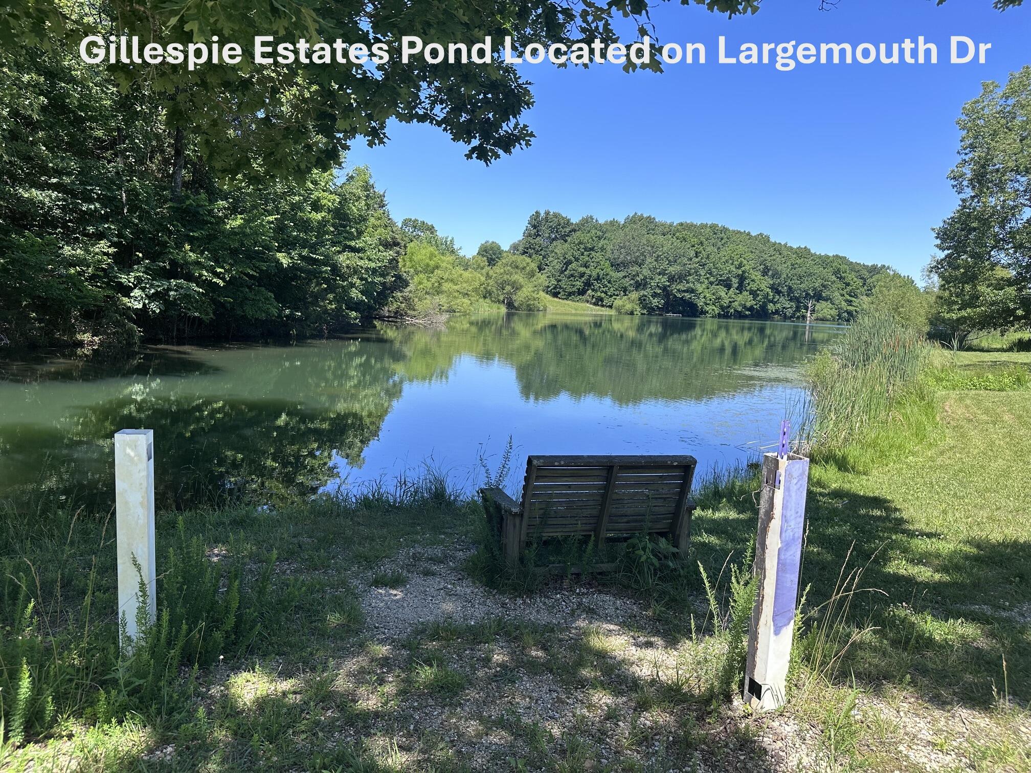 500 Georgia Road Strafford, MO 65757 - Photo 4 of 47 gillespie pond pic