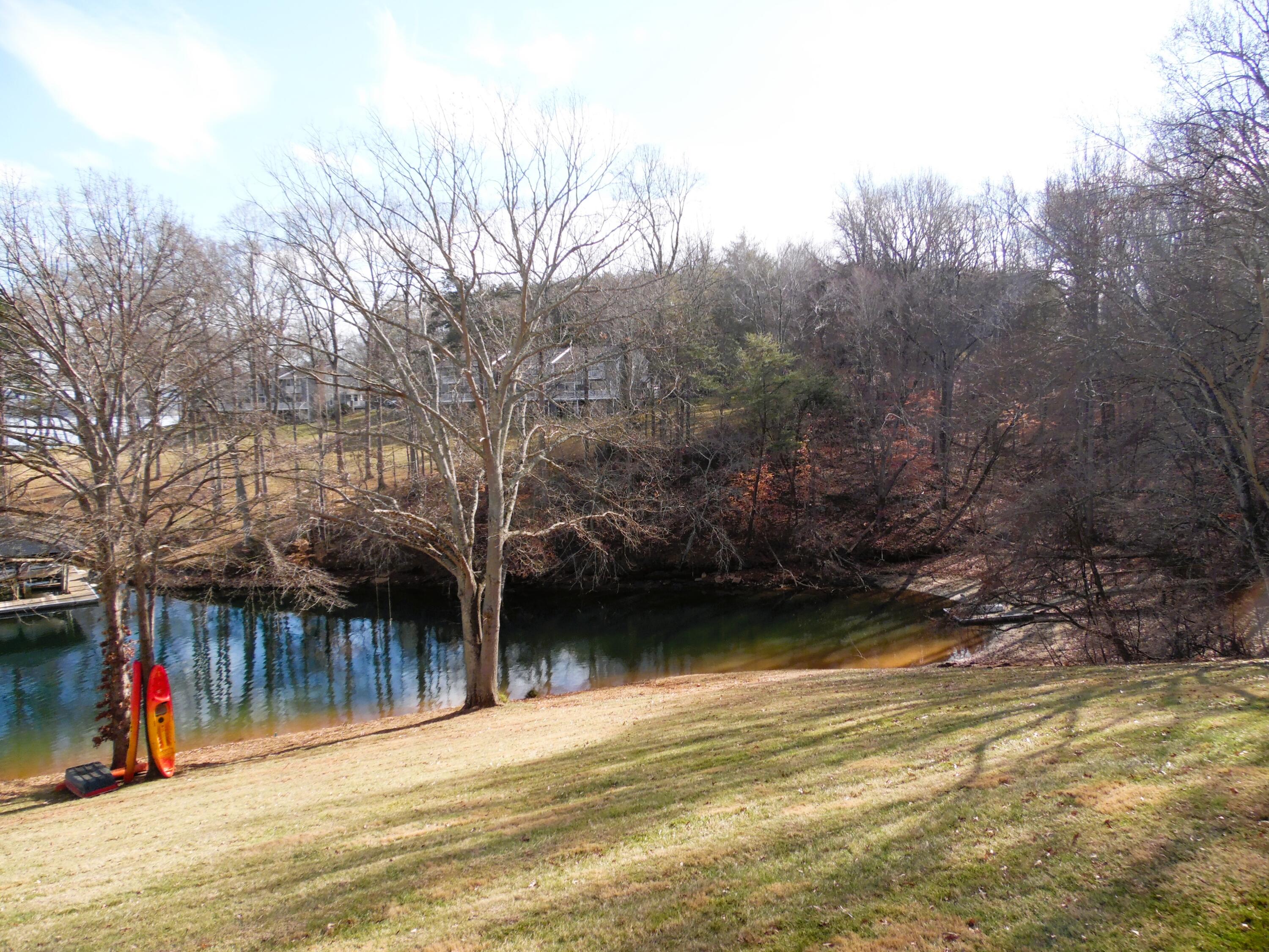 1788 Windlass Road, Unit C4 Moneta, VA 24121 - Photo 29 of 79 Cove view