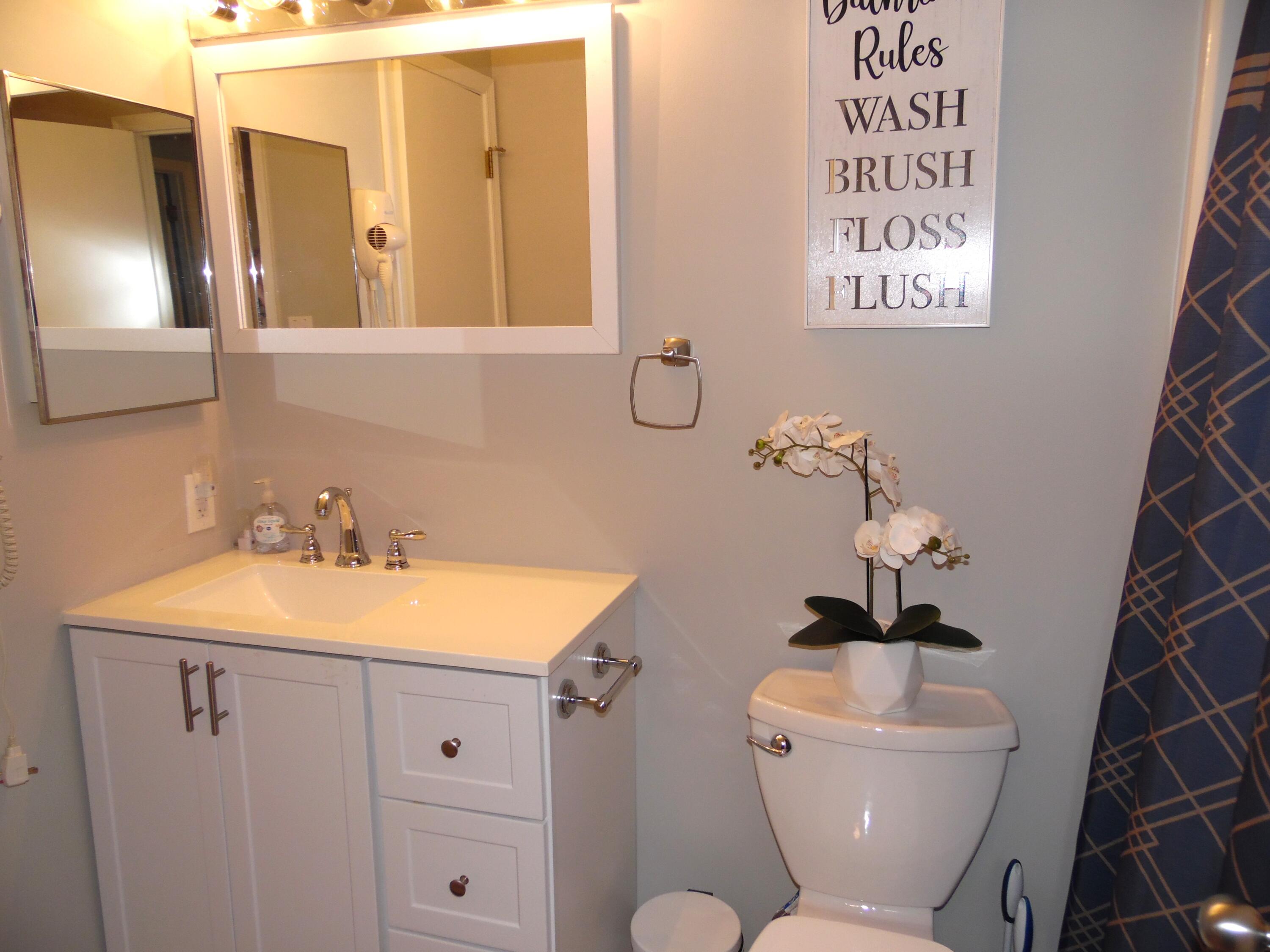 1788 Windlass Road, Unit C4 Moneta, VA 24121 - Photo 33 of 79 a bathroom with a toilet sink and mirror