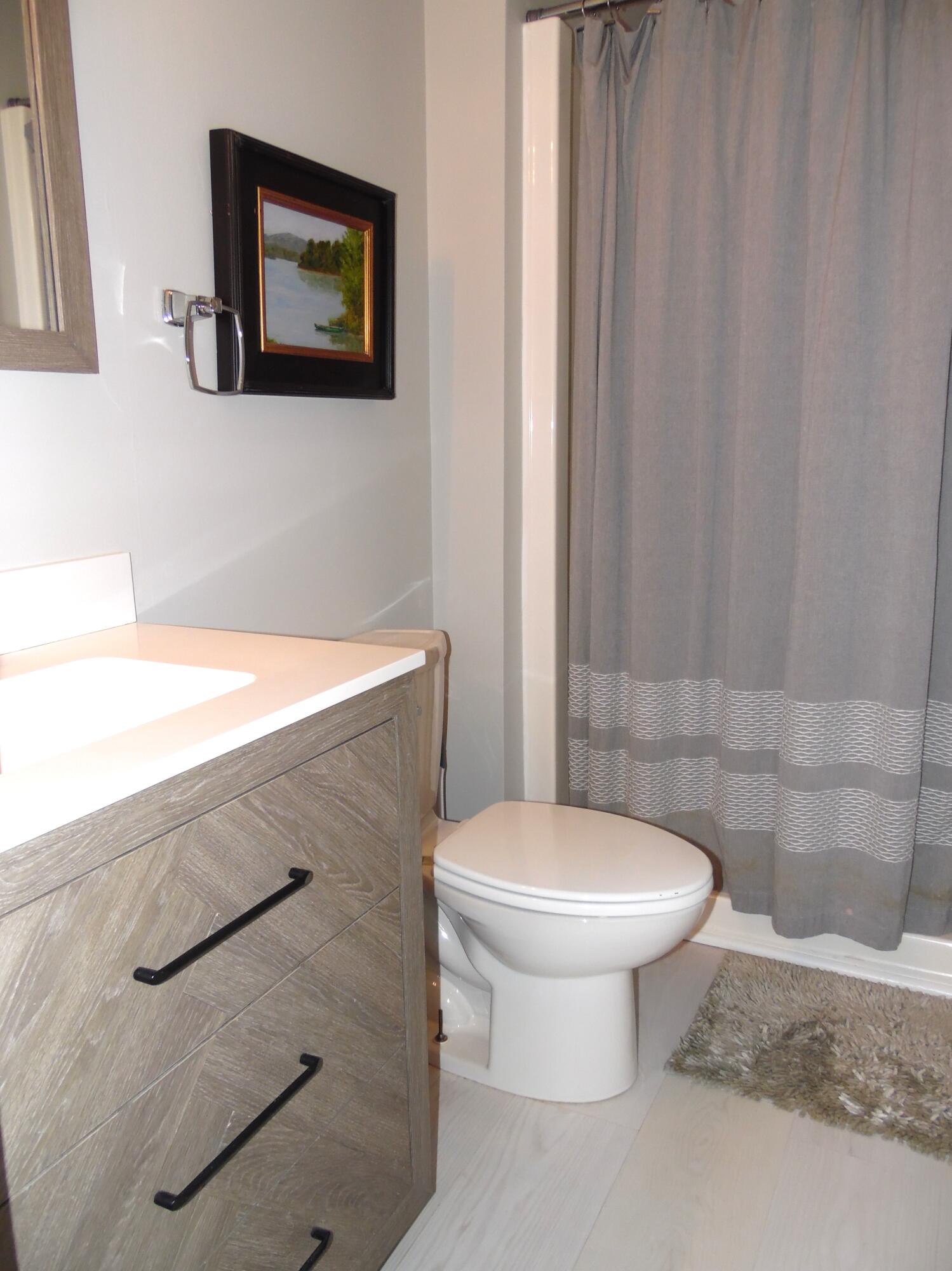 1788 Windlass Road, Unit C4 Moneta, VA 24121 - Photo 44 of 79 Primary bath