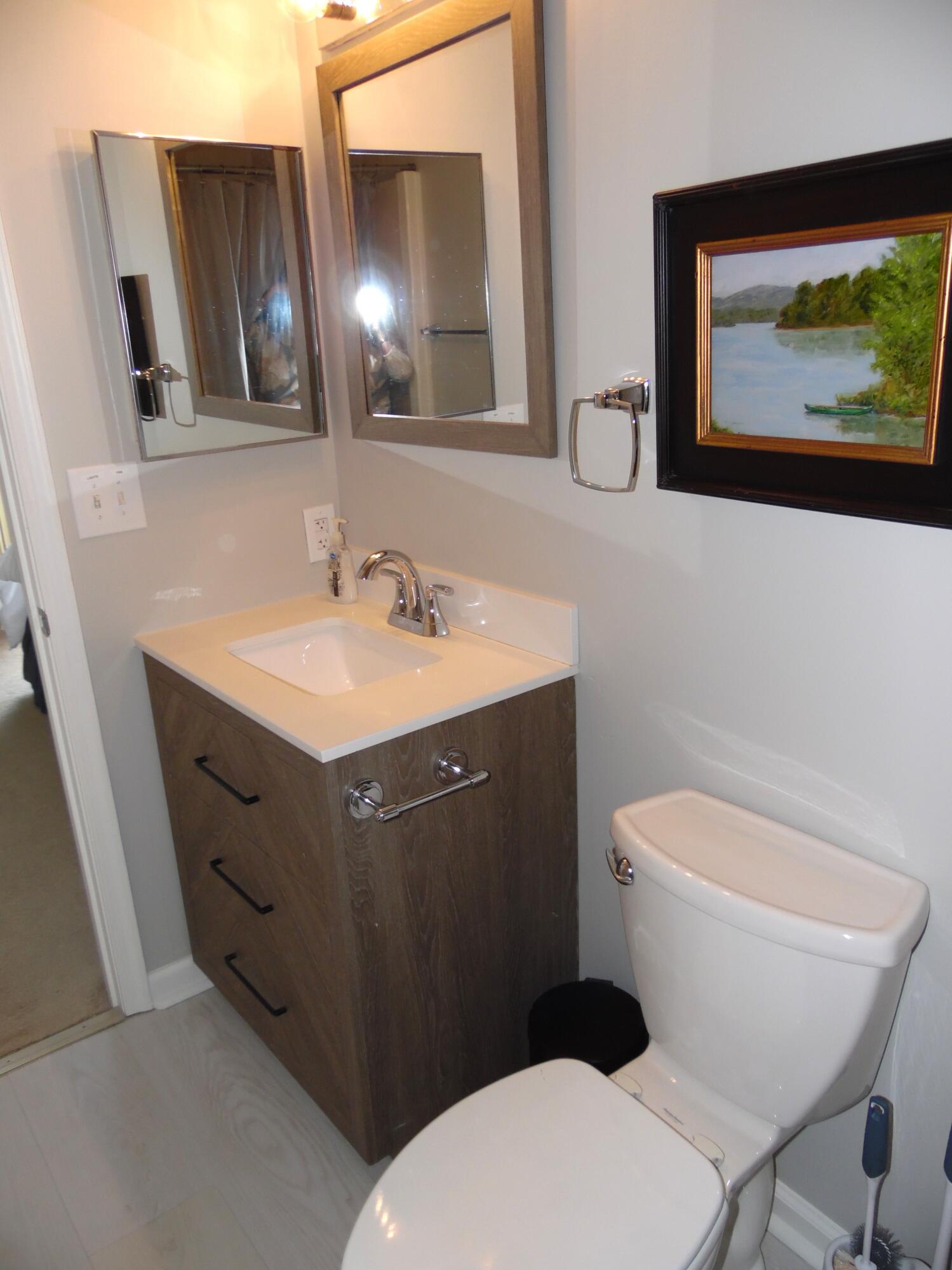 1788 Windlass Road, Unit C4 Moneta, VA 24121 - Photo 46 of 79 Primary bath