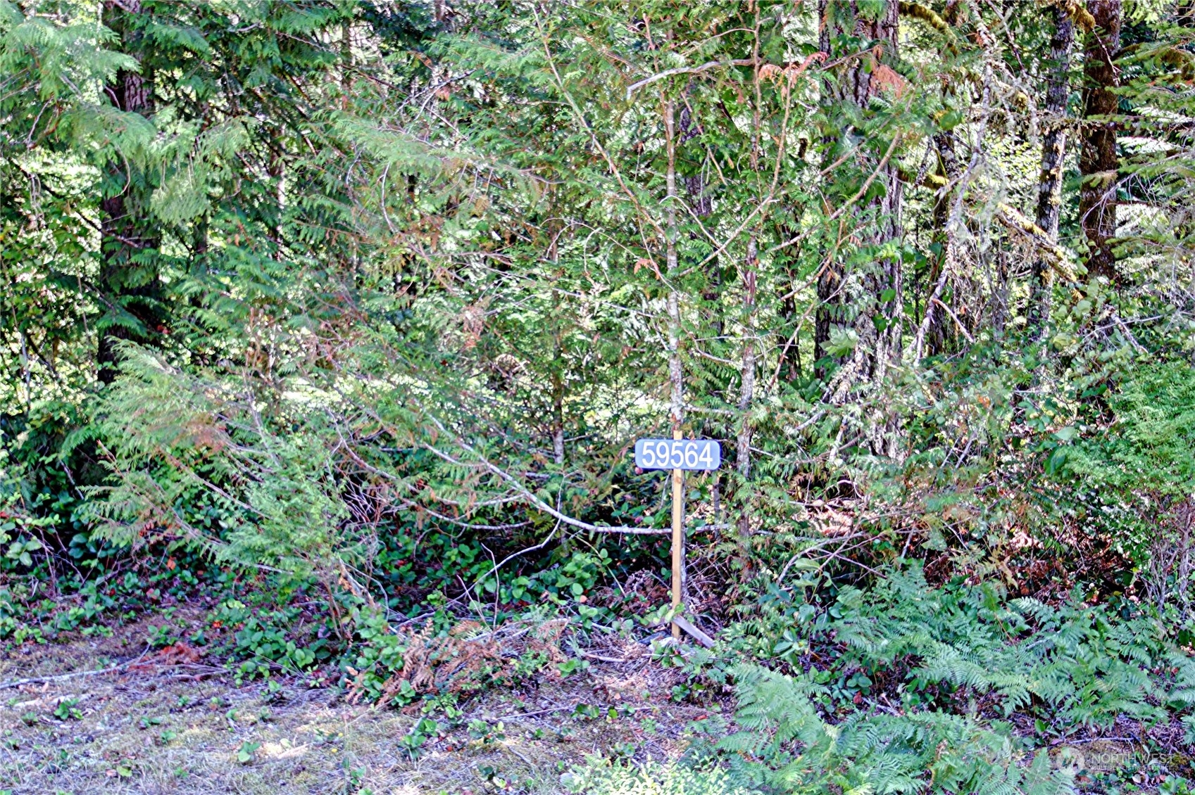 59564 Rockport Cascade Road Marblemount, WA 98267 - Photo 4 of 9 Gallery Image 4