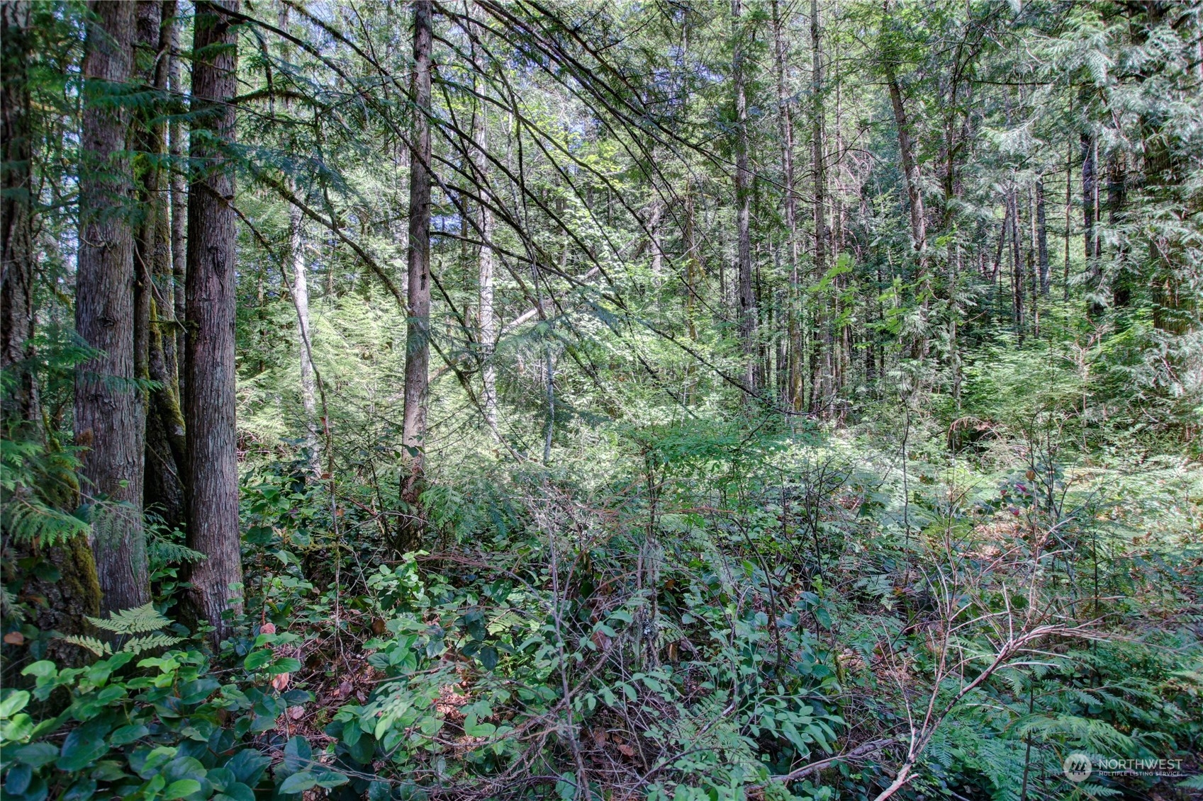 59564 Rockport Cascade Road Marblemount, WA 98267 - Photo 6 of 9 Gallery Image 6
