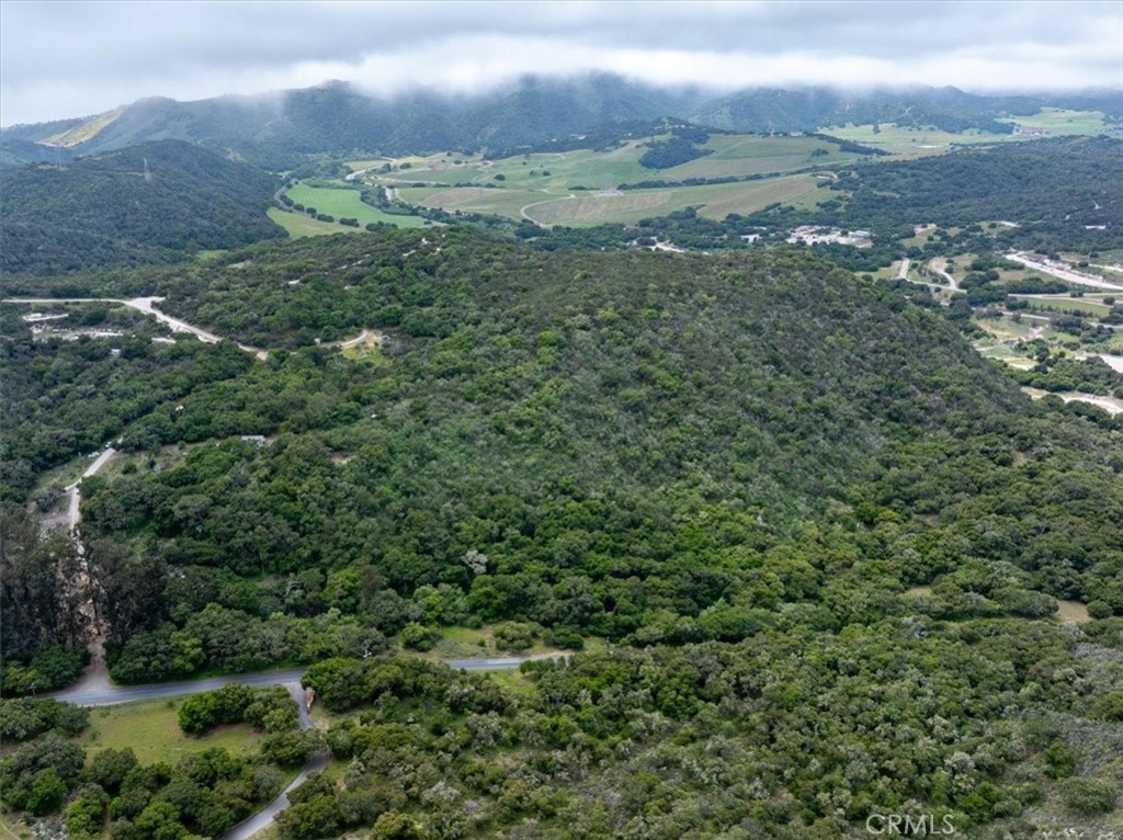 625 West Ormonde Road San Luis Obispo, CA 93401 - Photo 2 of 40 a view of a city with lush green forest