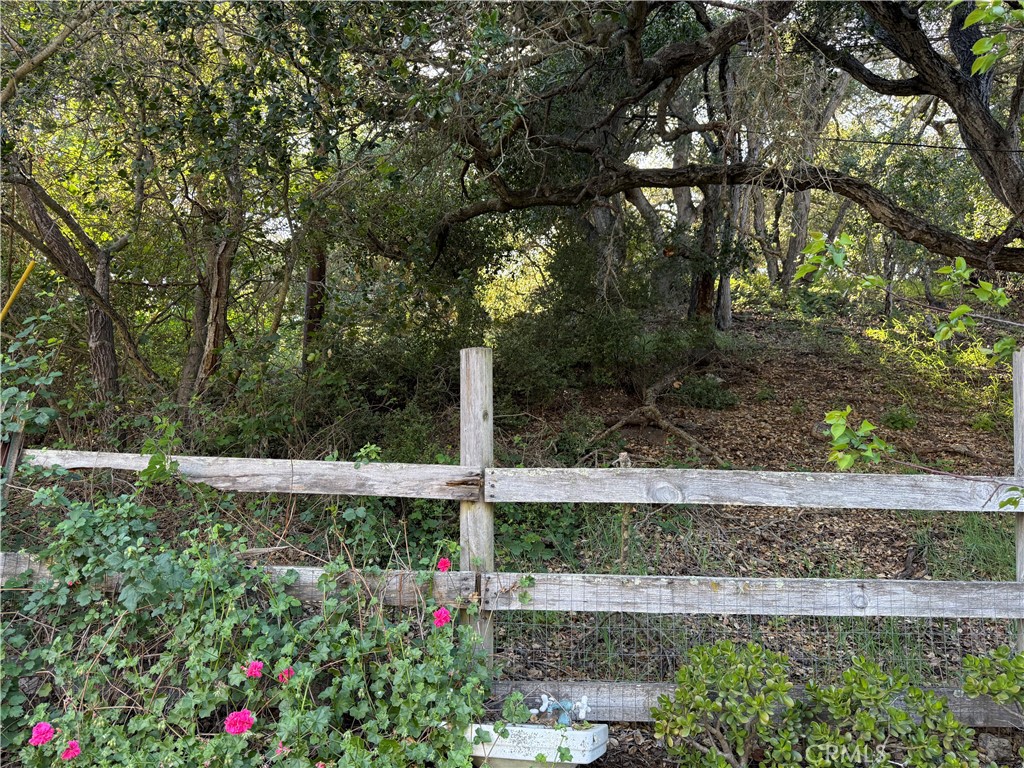 625 West Ormonde Road San Luis Obispo, CA 93401 - Photo 22 of 40 a view of a garden with a tree in the background