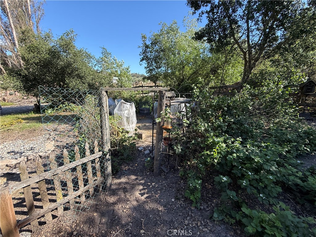 625 West Ormonde Road San Luis Obispo, CA 93401 - Photo 24 of 40 a view of a yard with plants and large trees