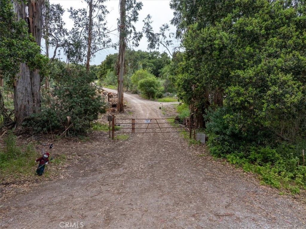 625 West Ormonde Road San Luis Obispo, CA 93401 - Photo 27 of 40 a view of a forest with trees in the background