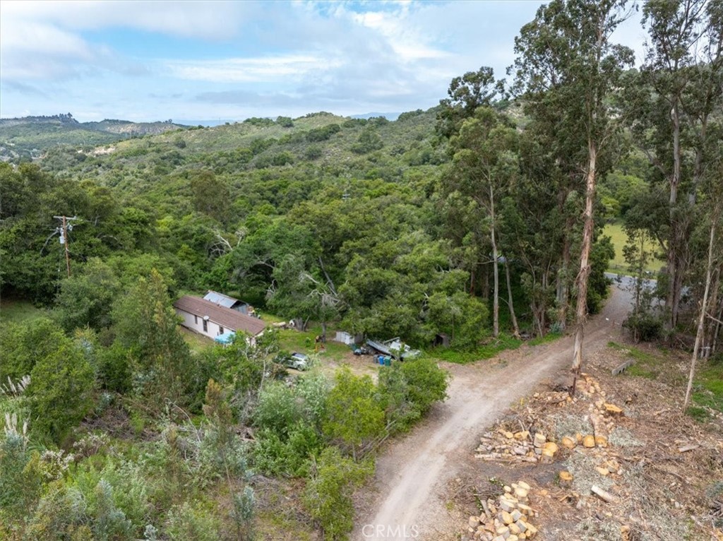 625 West Ormonde Road San Luis Obispo, CA 93401 - Photo 39 of 40 a view of a forest with a street