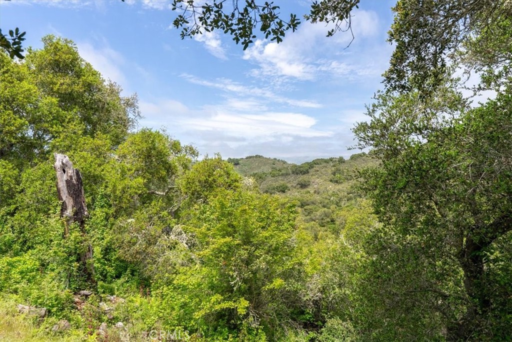 625 West Ormonde Road San Luis Obispo, CA 93401 - Photo 6 of 40 a view of a bunch of trees