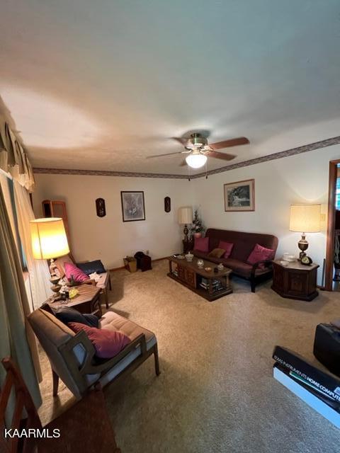 1245 Knowling Loop Talbott, TN 37877 - Photo 16 of 20 IMG_3049