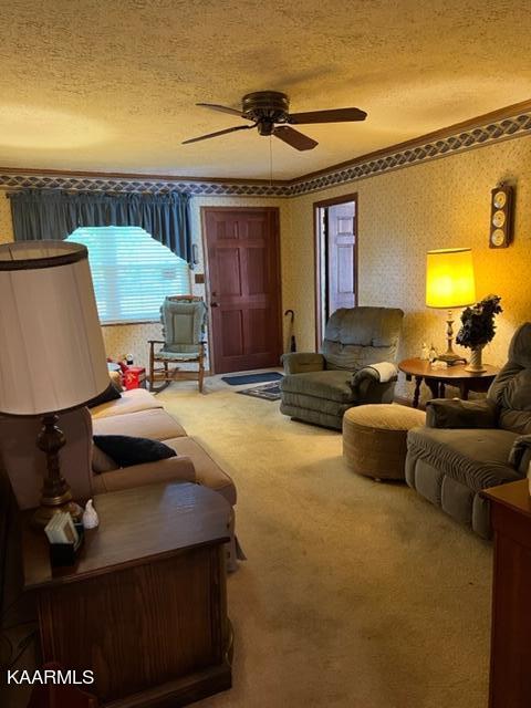 1245 Knowling Loop Talbott, TN 37877 - Photo 20 of 20 IMG_3043