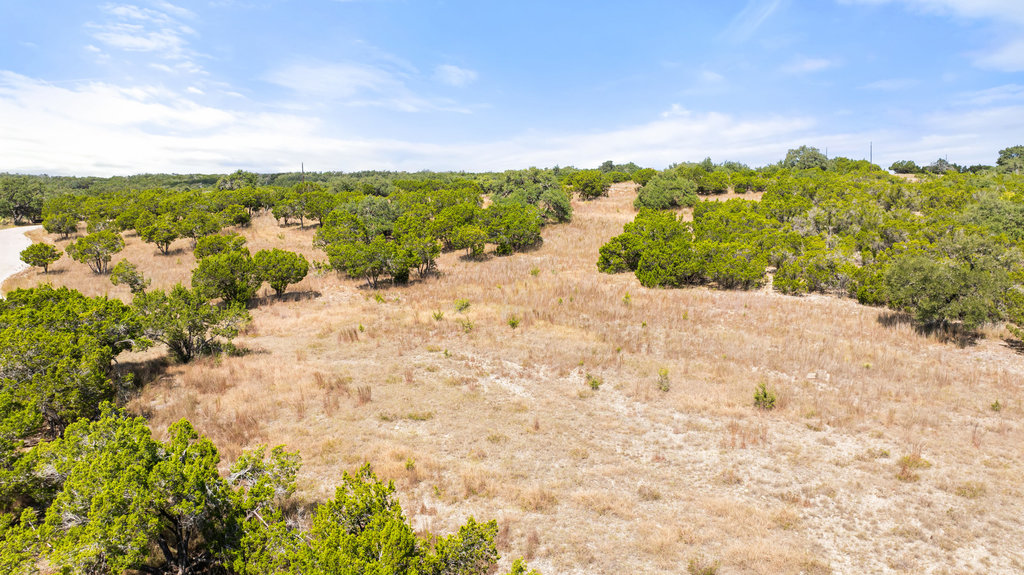 5818 Ranch Road 165 Blanco, TX 78606 - Photo 7 of 31