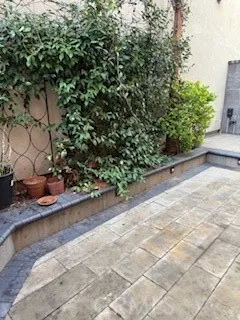 a view of a garden with plants