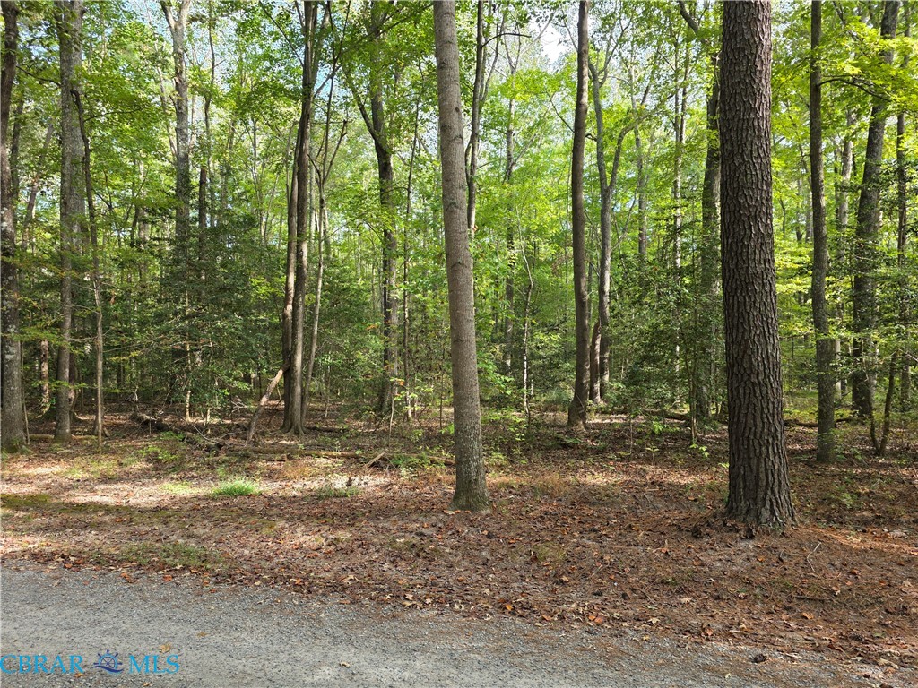 View of woods