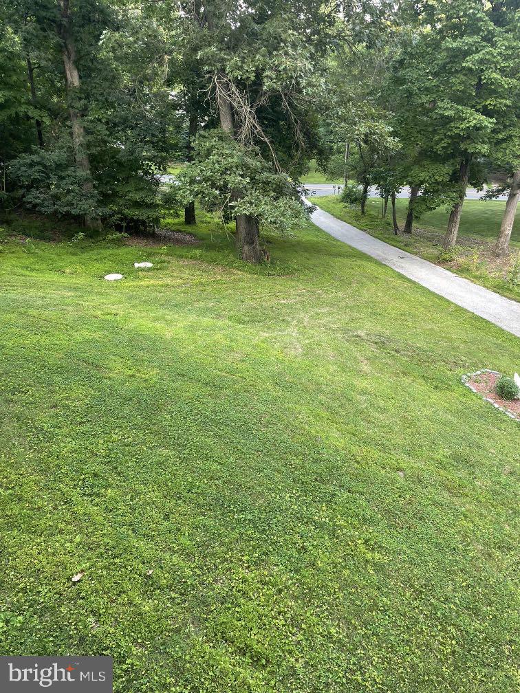 604 Rocky Ridge Road Spring Grove, PA 17362 - Photo 11 of 47 Lush green landscape with winding path.