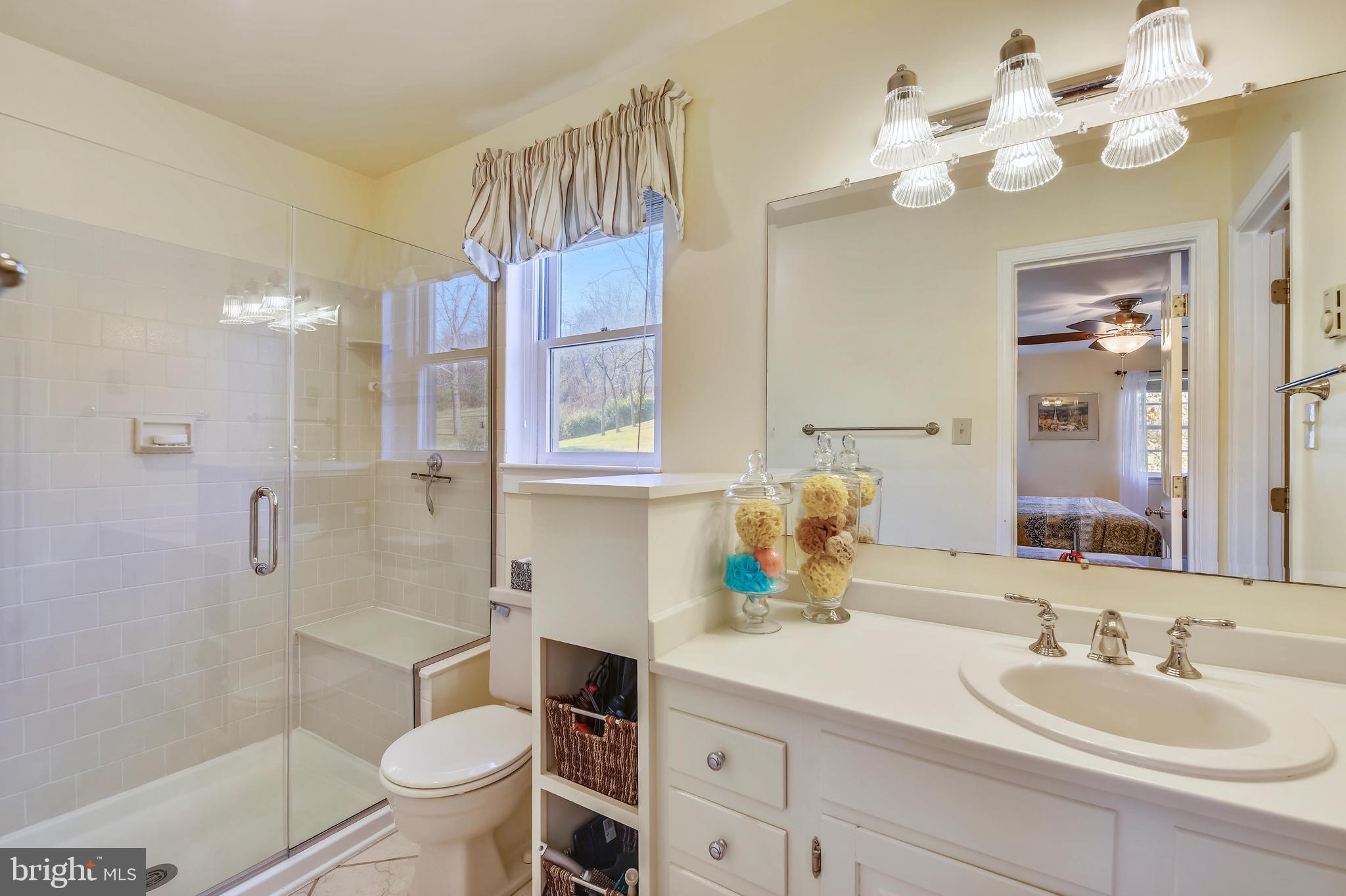 669 Apple Pie Ridge Road Winchester, VA 22603 - Photo 40 of 67 Master Bathroom with frameless shower door