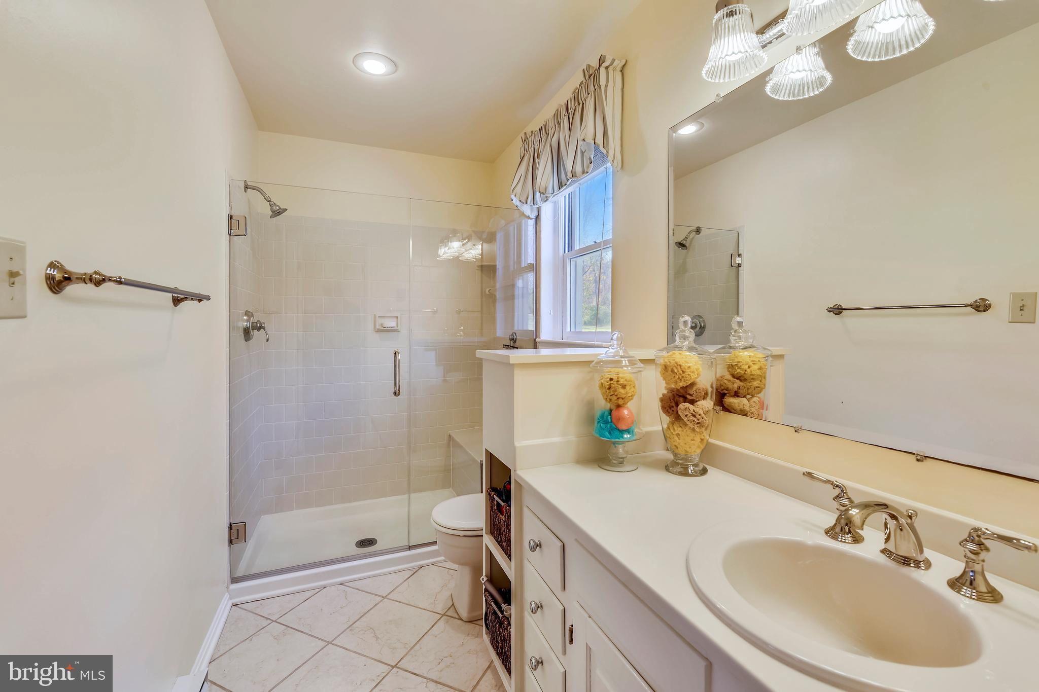 669 Apple Pie Ridge Road Winchester, VA 22603 - Photo 41 of 67 Master Bathroom with frameless shower door